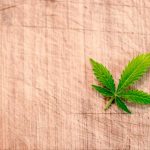 canapa light erba di calabria