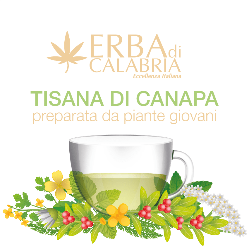 tisana di canapa erbadicalabria.it