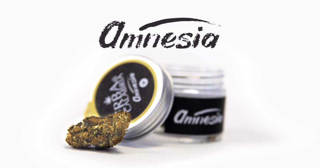 amnesia