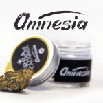amnesia